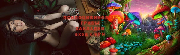 mix Алексин