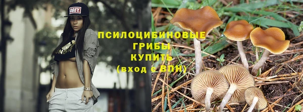 хмурый Алзамай