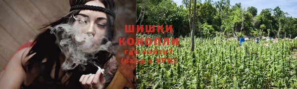 ГАЛЛЮЦИНОГЕННЫЕ ГРИБЫ Алексеевка