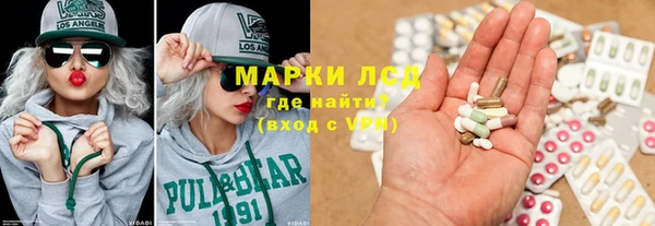 хмурый Алзамай
